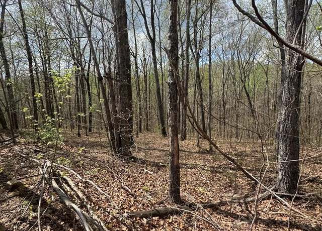 Property at Lot 345 Drew Ct, Smithville, TN 37166