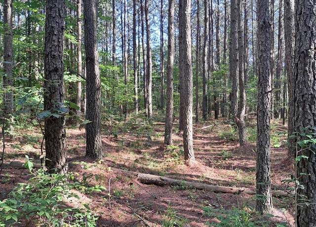 Property at Tract 6 Airport Rd – Piney Creek Acres, Rockwood, TN 37854