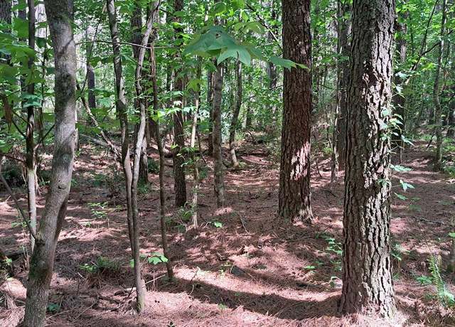 Property at Tract 13 Airport Rd – Piney Creek Acres, Rockwood, TN 37854