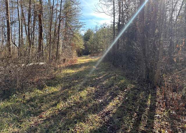 Property at 14.56 ac Hwy 52, Robbins, TN 37852