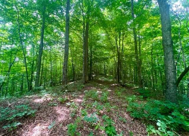 Property at 00 Skaggs Branch Rd, Whitleyville, TN 38562