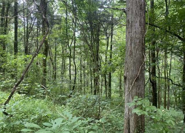 Property at Lot 35 Lot 35 Eagle Rdg, Granville, TN 38564