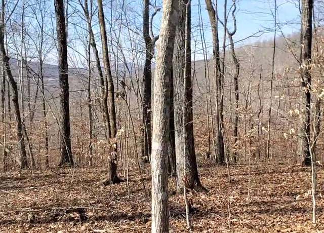 Property at 2A Choctaw Dr, Jamestown, TN 38556