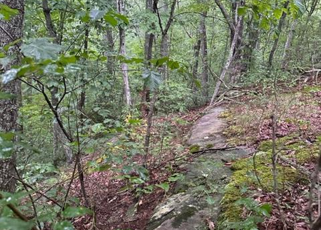 Property at Lot 33 Wilson Ridge Rd, Wilder, TN 38589