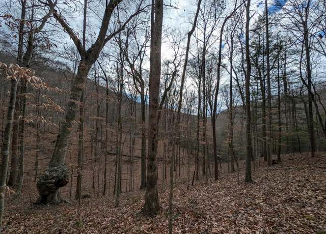 Property at 41 Apache Rd, Jamestown, TN 38556