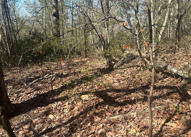 Property at Lot 164 Bluff Ln, Wilder, TN 38589
