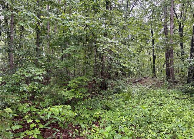 Property at n/a Panther Branch Rd, Jamestown, TN 38556