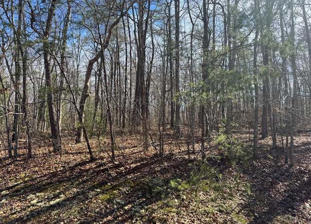 Property at 0 N Laurel Loop, Monterey, TN 38574