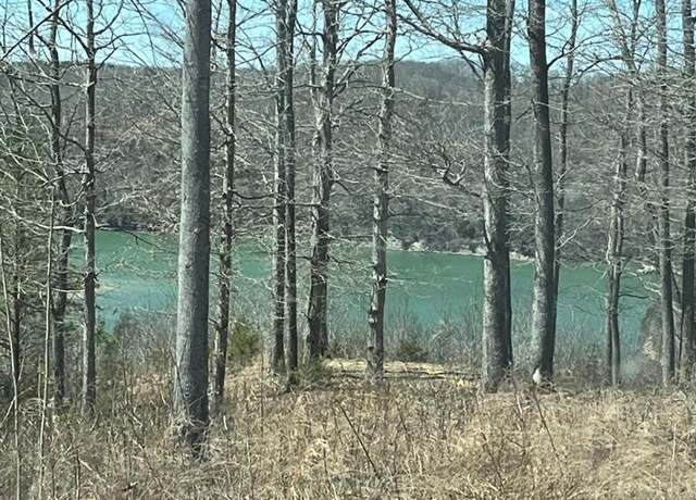 Property at LOT# 13 Obey River Shrs, Byrdstown, TN 38549