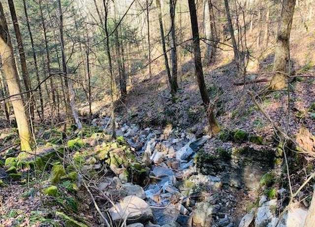 Property at Lot 165 Bluff Ln, Wilder, TN 38589
