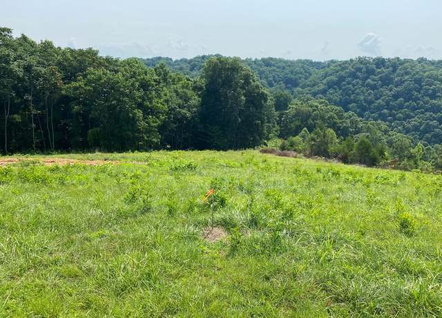 Property at Lot 11 H O Allison, Baxter, TN 38544