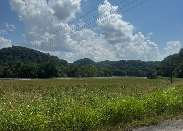 Property at 4.6 ACS Albany Road (hwy 90), Burkesville, KY 42717