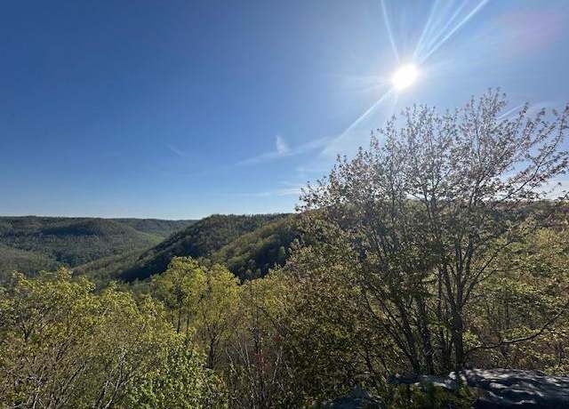 Property at Lot BCD Hood Ln, Wilder, TN 38589