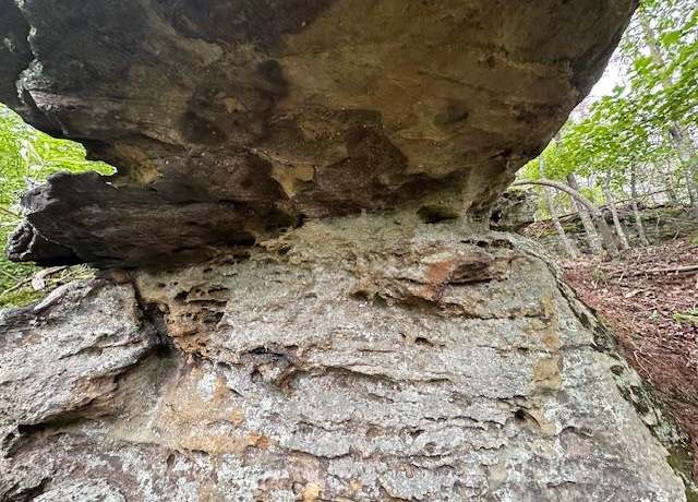 Property at lot 160 Big Piney Loop, Wilder, TN 38589