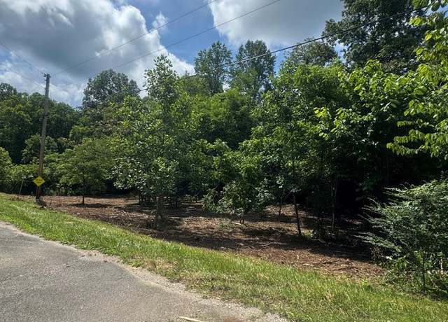 Property at Lot 12 Cave Valley Rd (lot 12, 13, 14), Byrdstown, TN 38549
