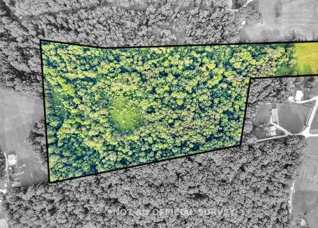 Property at 19.267ac Wildcat Rd, Sparta, TN 38583