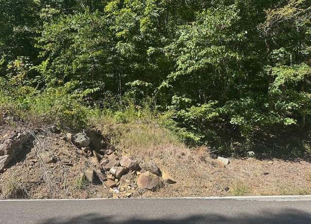 Property at LOT 364A 6360 East Obey Ln, Wilder, TN 38589