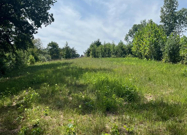 Property at 9AC Lily Dale Rd, Allons, TN 38541