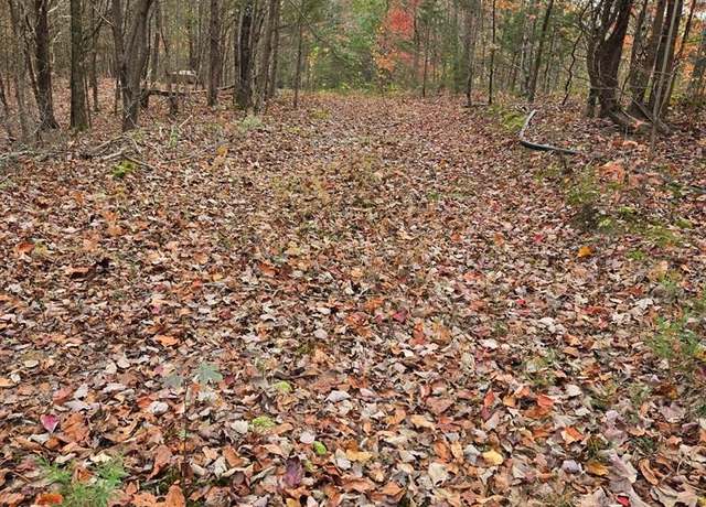 Property at 0 Kenneth Linder Ln * Coyote Ln, Livingston, TN 38570