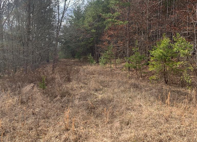Property at Undisclosed address, Sunbright, TN 37872