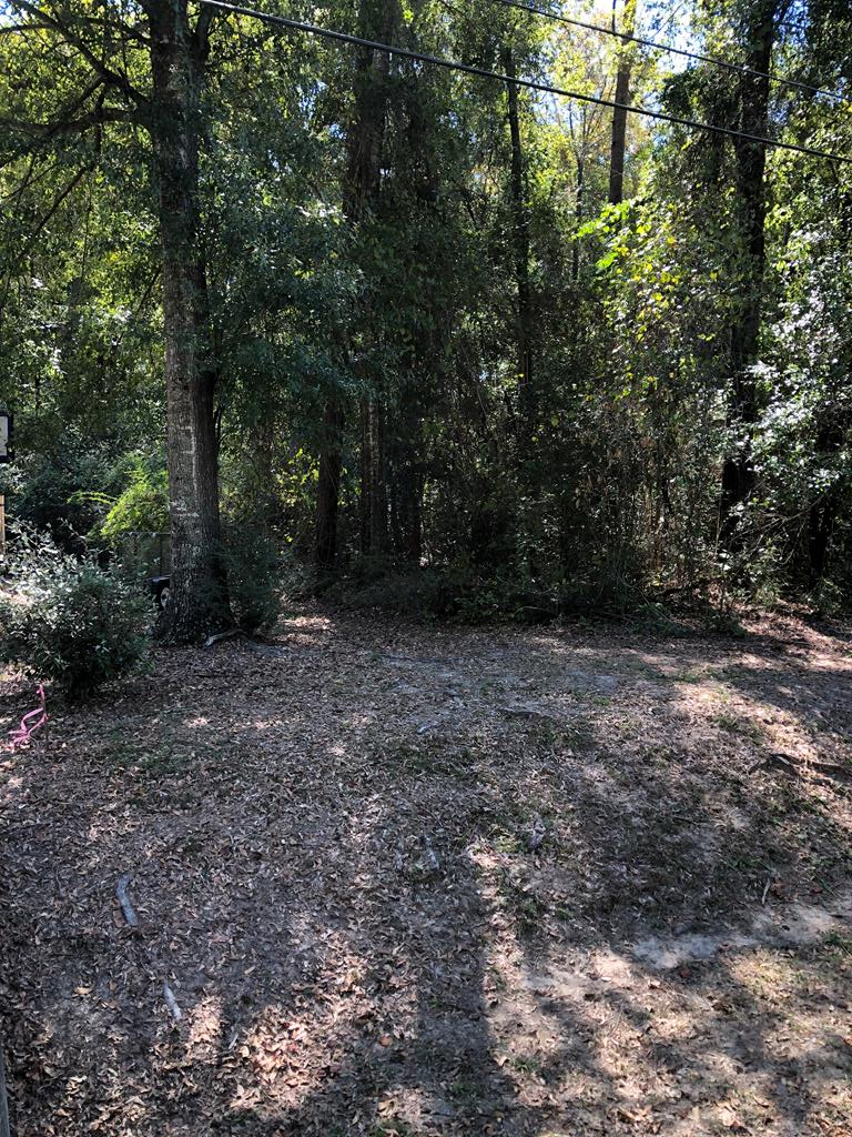 NHN E Lakeshore Dr, Carriere, MS 39426 | MLS# 178763 | Redfin