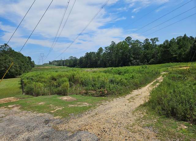 Property at NHN Darby Ln, Carriere, MS 39426