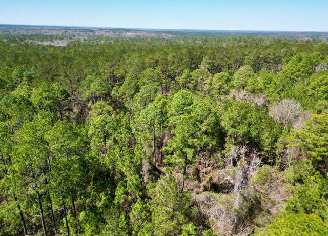 Property at #1 Cowart Holliday Rd, Poplarville, MS 39470