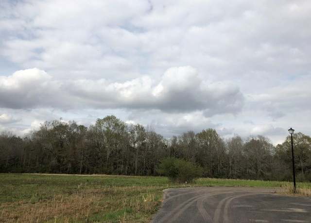 Property at NHN Theodore Dr Lot 26, Poplarville, MS 39470