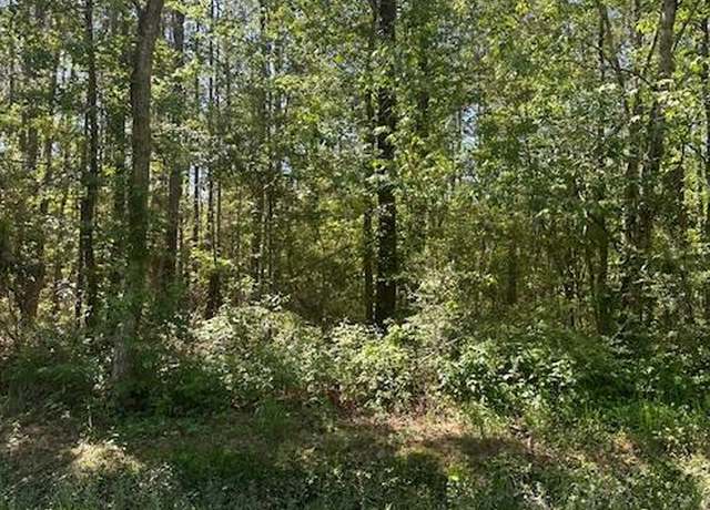 Property at Lot 43 E Lamar St, Bay St Louis, MS 39520
