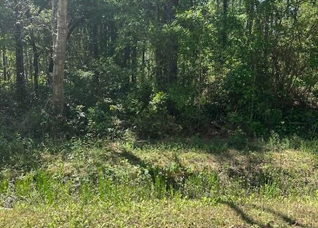 Property at Lot 38 E Lamar St, Bay St Louis, MS 39520