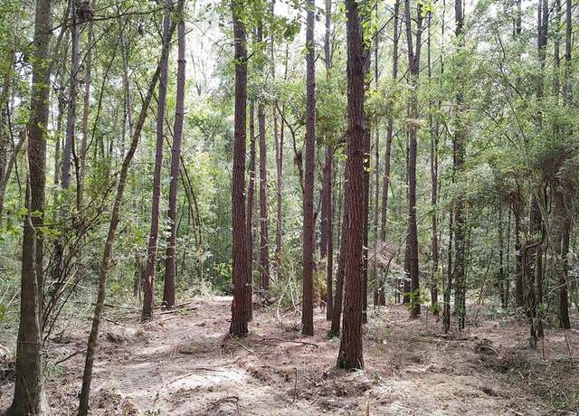 Property at NHN Lot 132 Stevens Dr, Lumberton, MS 39455