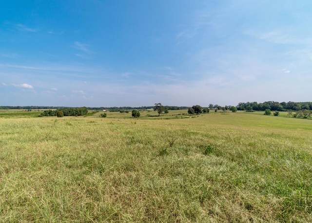 Property at NHN Grady Lewis Rd, Poplarville, MS 39470