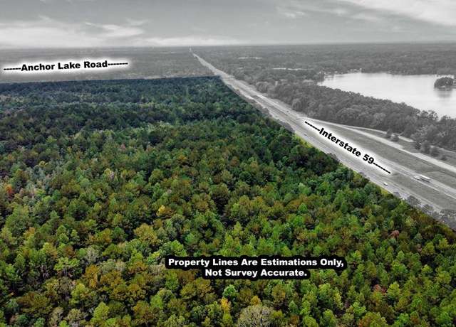 Property at NHN I-59 And Anchor Lake Rd, Carriere, MS 39426