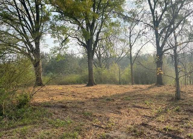Property at 0 Buck Kirkland Rd, Poplarville, MS 39470