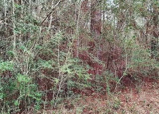 Property at NHN Tuscon St Lot 134, Lumberton, MS 39455