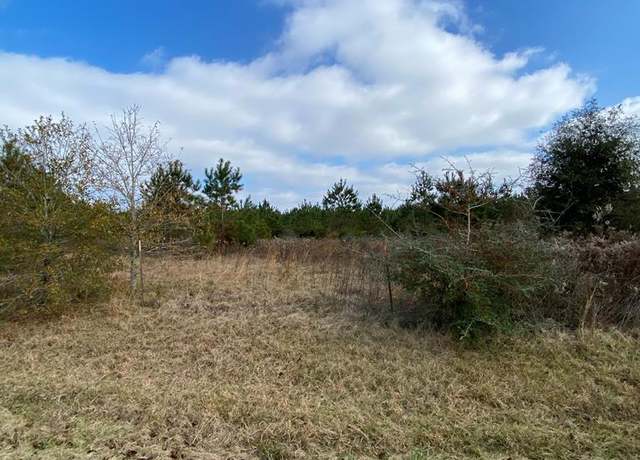 Property at 0 Buck Kirkland Rd, Poplarville, MS 39470