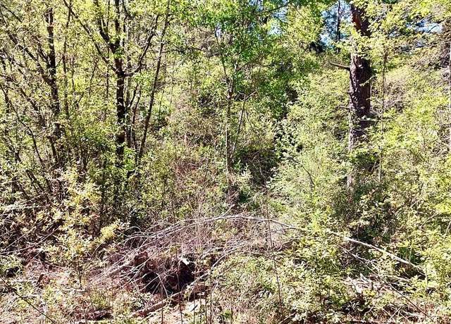 Property at NHN Plantation Lane Lot 31, Lumberton, MS 39455