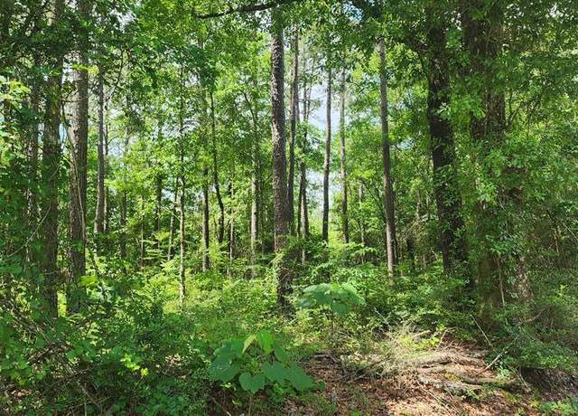 Property at NHN Springhill Rd, Poplarville, MS 39470
