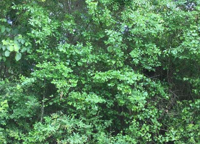 Property at 0 Lakeside Cove Lot 142 Unit 2, Carriere, MS 39426