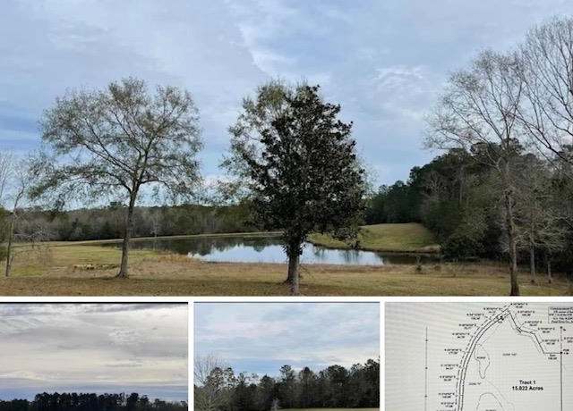 Property at 00 Nellie Burks Rd, Carriere, MS 39466
