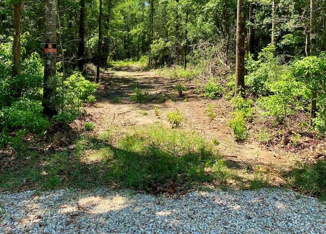 Property at 00 Otho Davis Rd, Lumberton, MS 39455