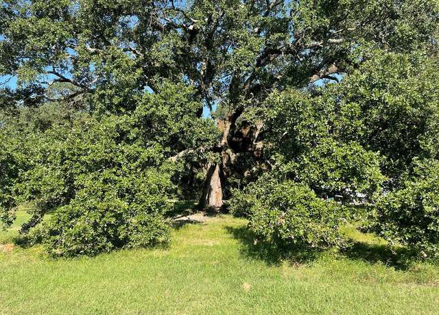 Property at 1452b Caesar Rd, Carriere, MS 39426