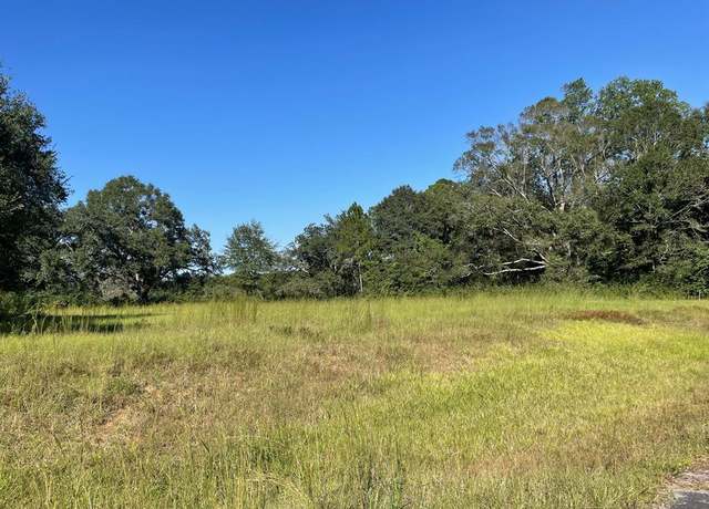 Property at 1452d Caesar Rd, Carriere, MS 39426