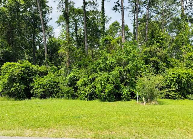 Property at Lot 83 Spring Oak Dr, Carriere, MS 39426