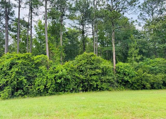 Property at Lot 80 Spring Oak Dr, Carriere, MS 39426