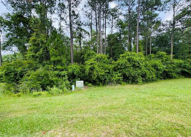 Property at Lot 79 Spring Oak Dr, Carriere, MS 39426