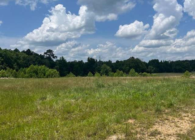 Property at 34 D Oscar Lee, Poplarville, MS 39470