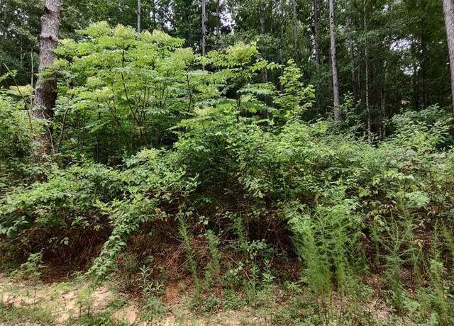 Property at NHN Lakeshore Dr Lot 160, Lumberton, MS 39455