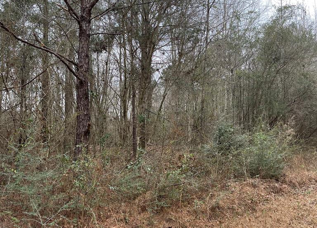 Property at 139 Lakeshore, Lumberton, MS 39455