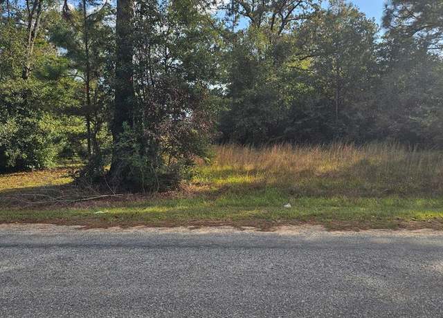 Property at NHN Bisbee Drive Lot 170, Lumberton, MS 39455
